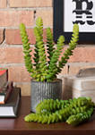 Soft Plastic Green Mini Plants - Set of 3