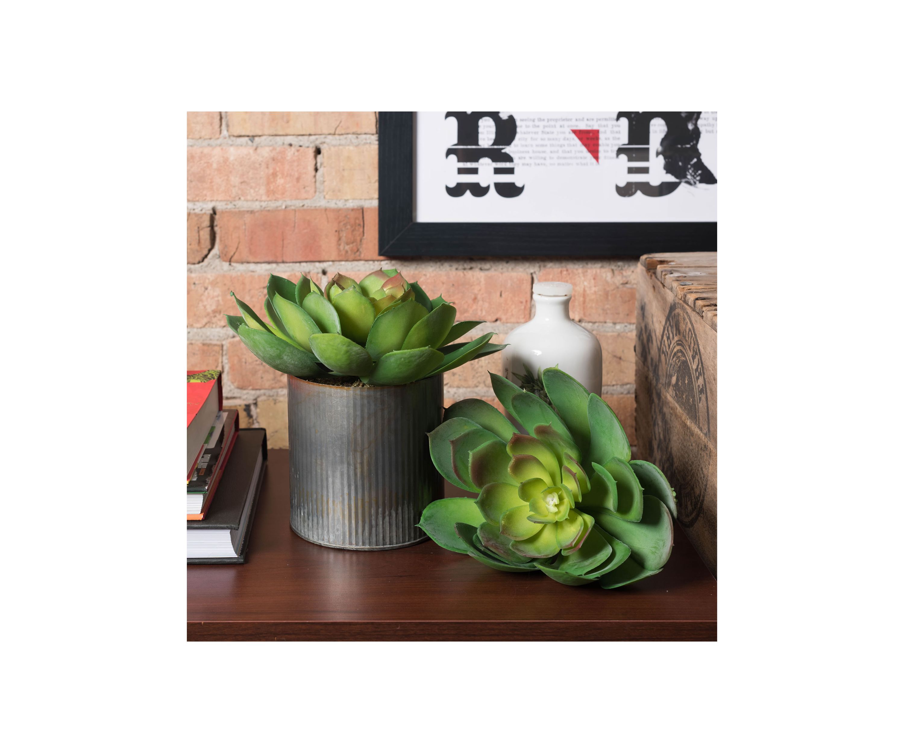 Green Cactus Stem - Set of 3