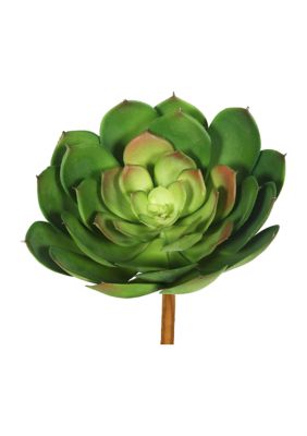 Green Cactus Stem - Set of 3