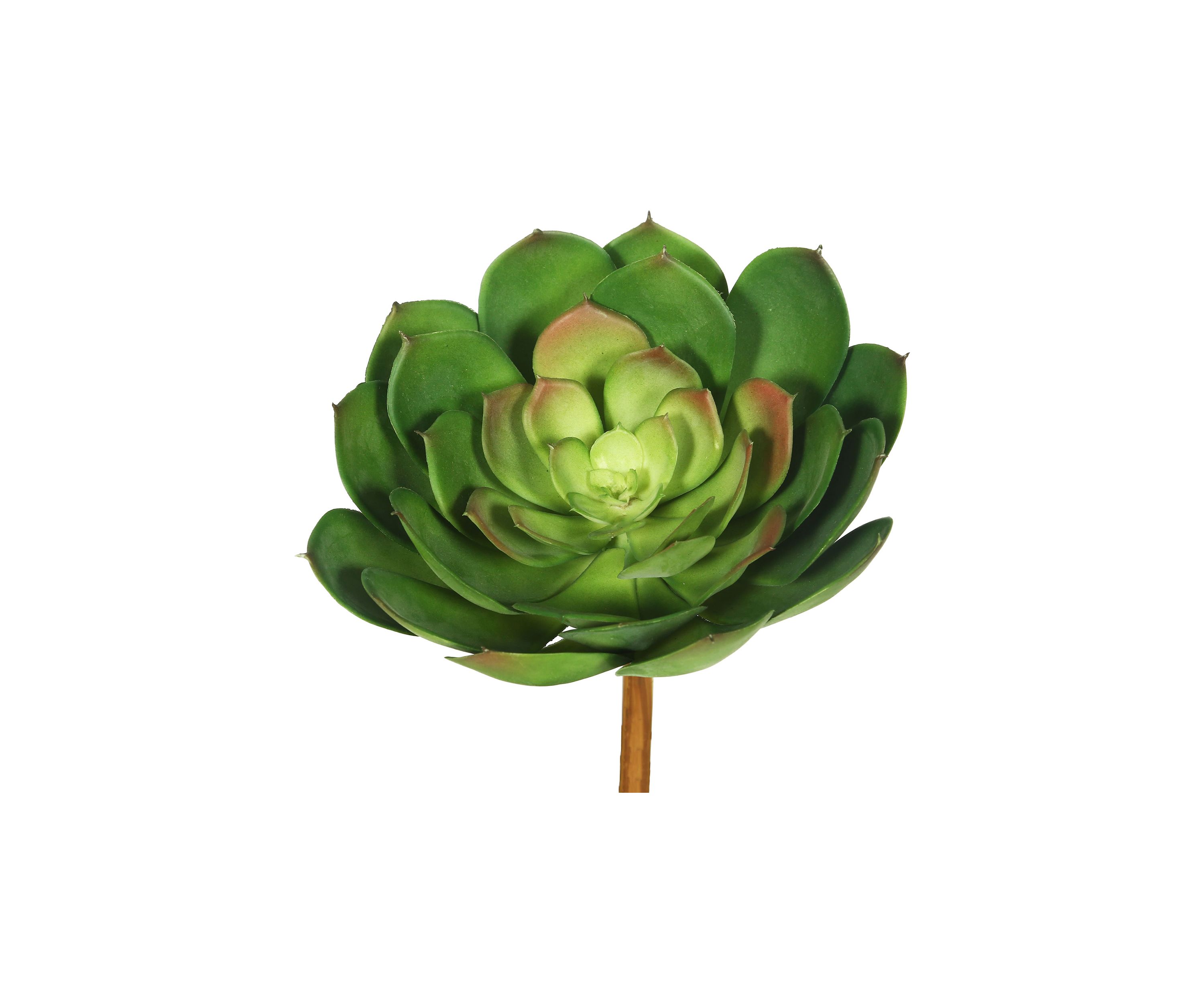Green Cactus Stem - Set of 3