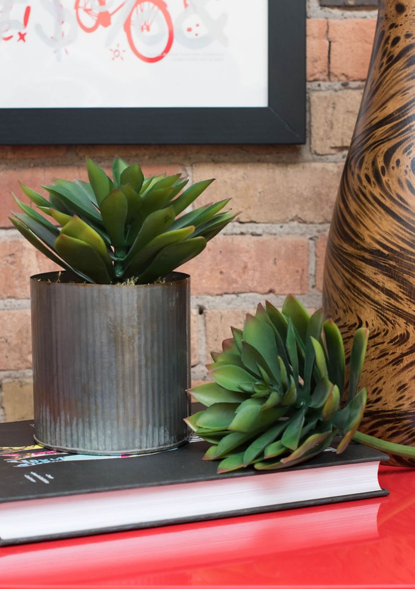 Green Cactus Stem - Set of 3