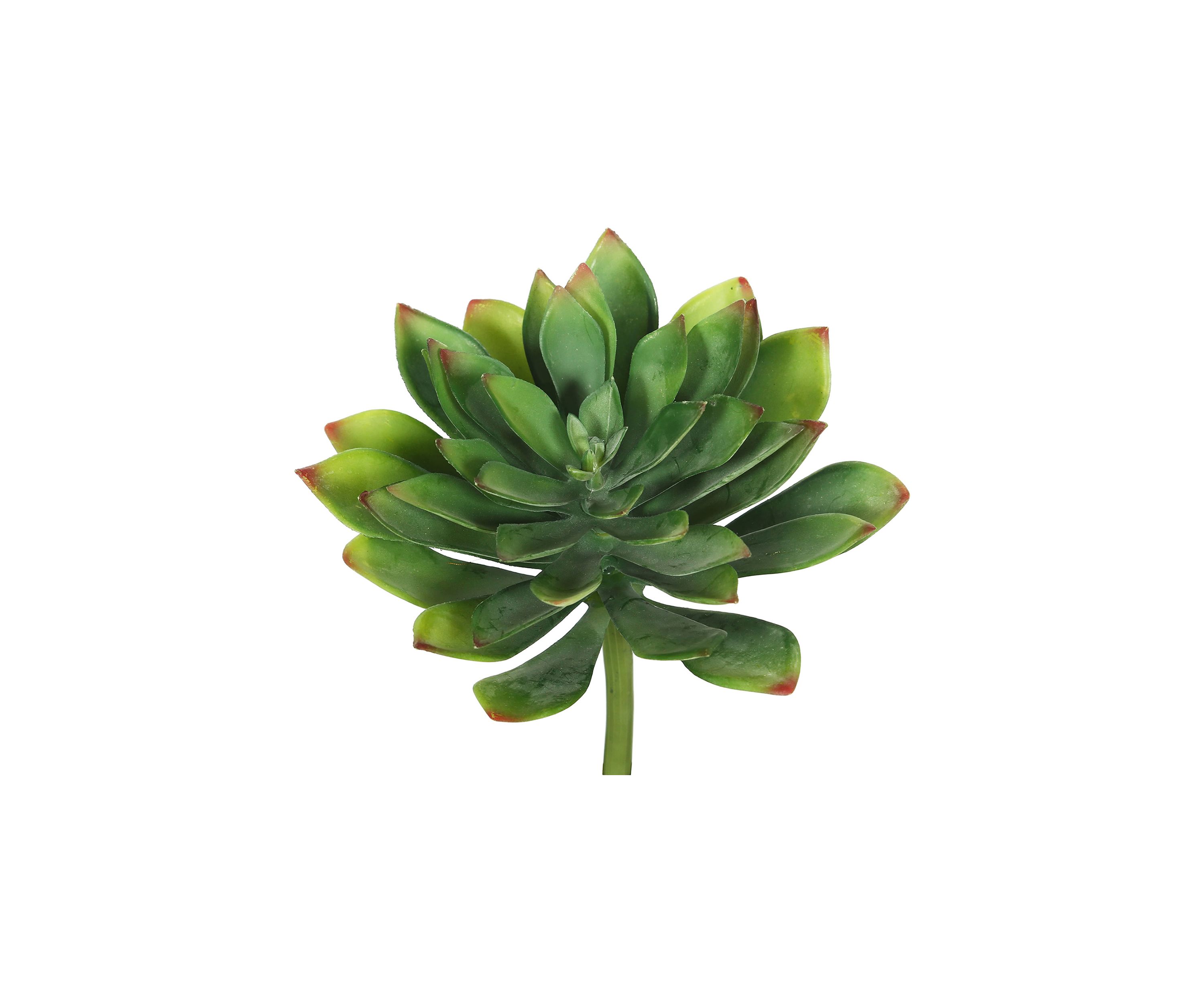 Green Cactus Stem - Set of 3