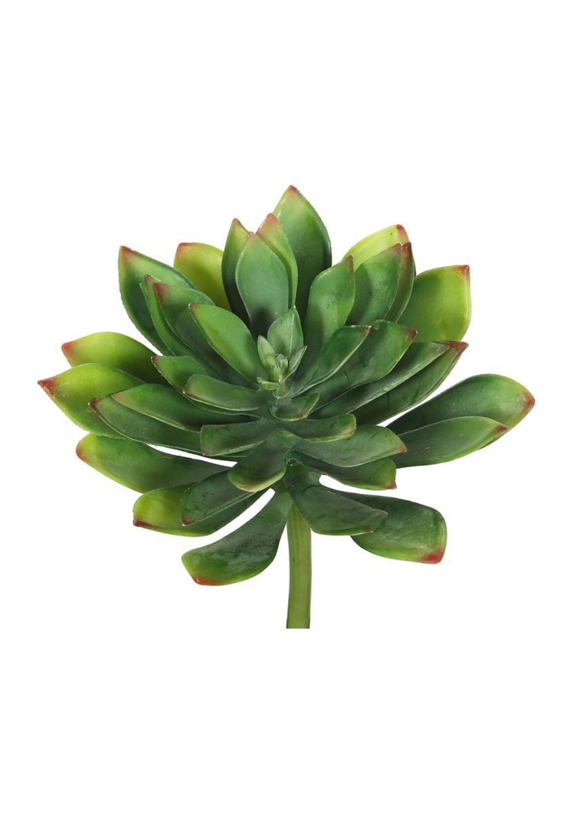 Green Cactus Stem - Set of 3