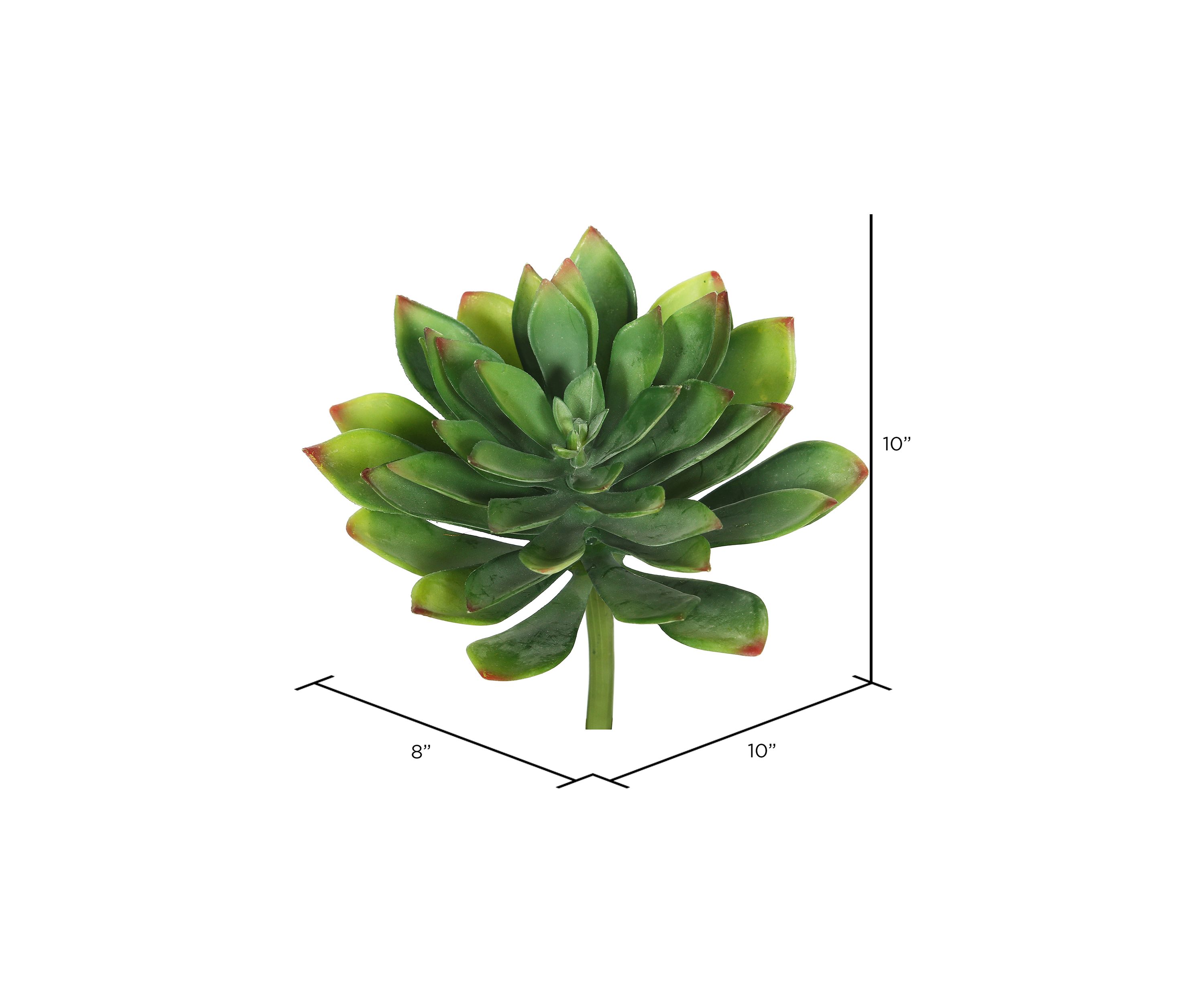Green Cactus Stem - Set of 3