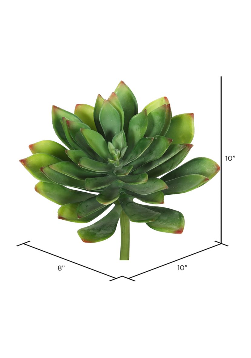 Green Cactus Stem - Set of 3