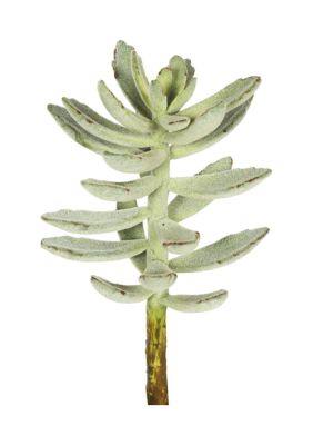 Vickerman Frosted Green Pachyphytum Stem