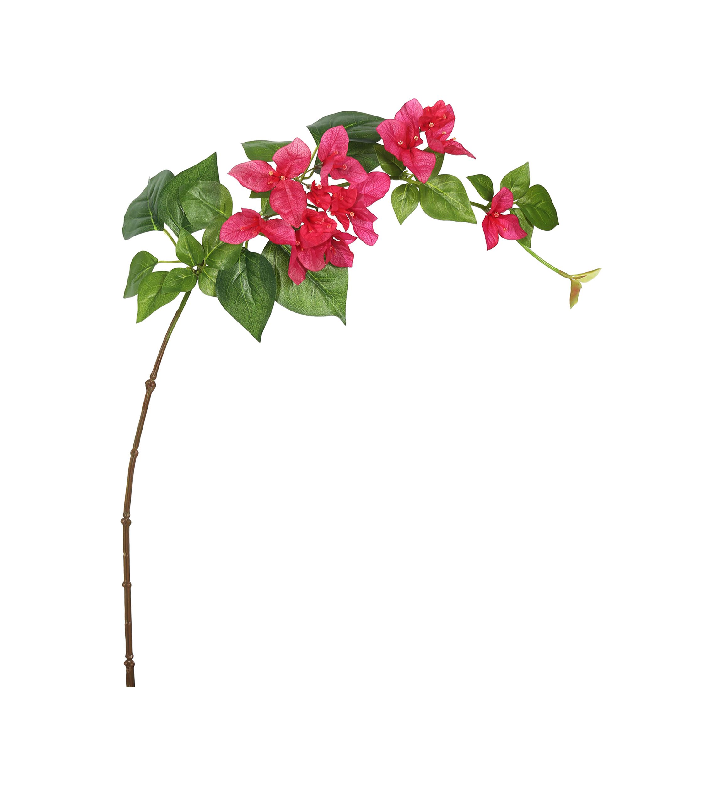 Fuchsia Single Bougainvillea Floral Stem - Set of 3