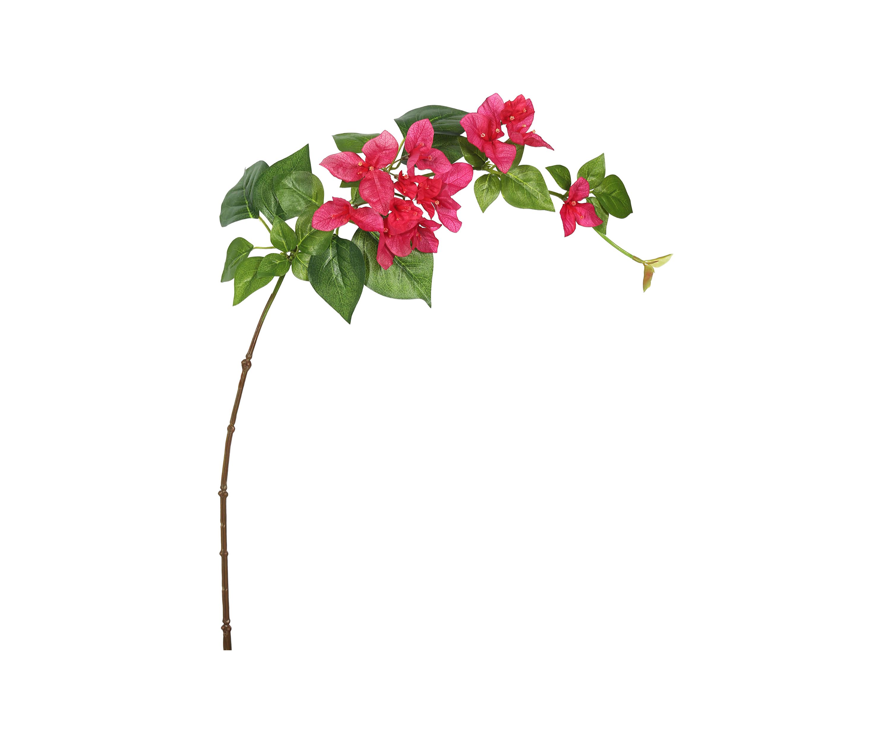 Fuchsia Single Bougainvillea Floral Stem - Set of 3