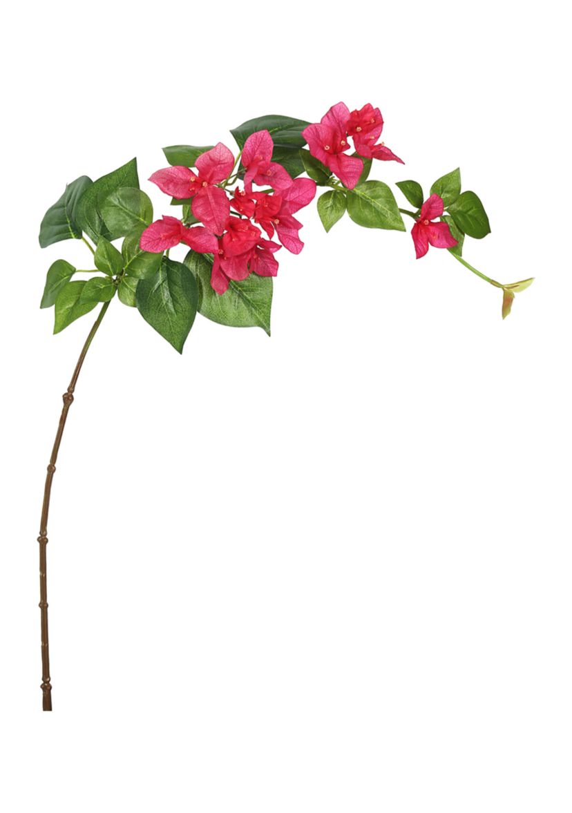 Fuchsia Single Bougainvillea Floral Stem - Set of 3