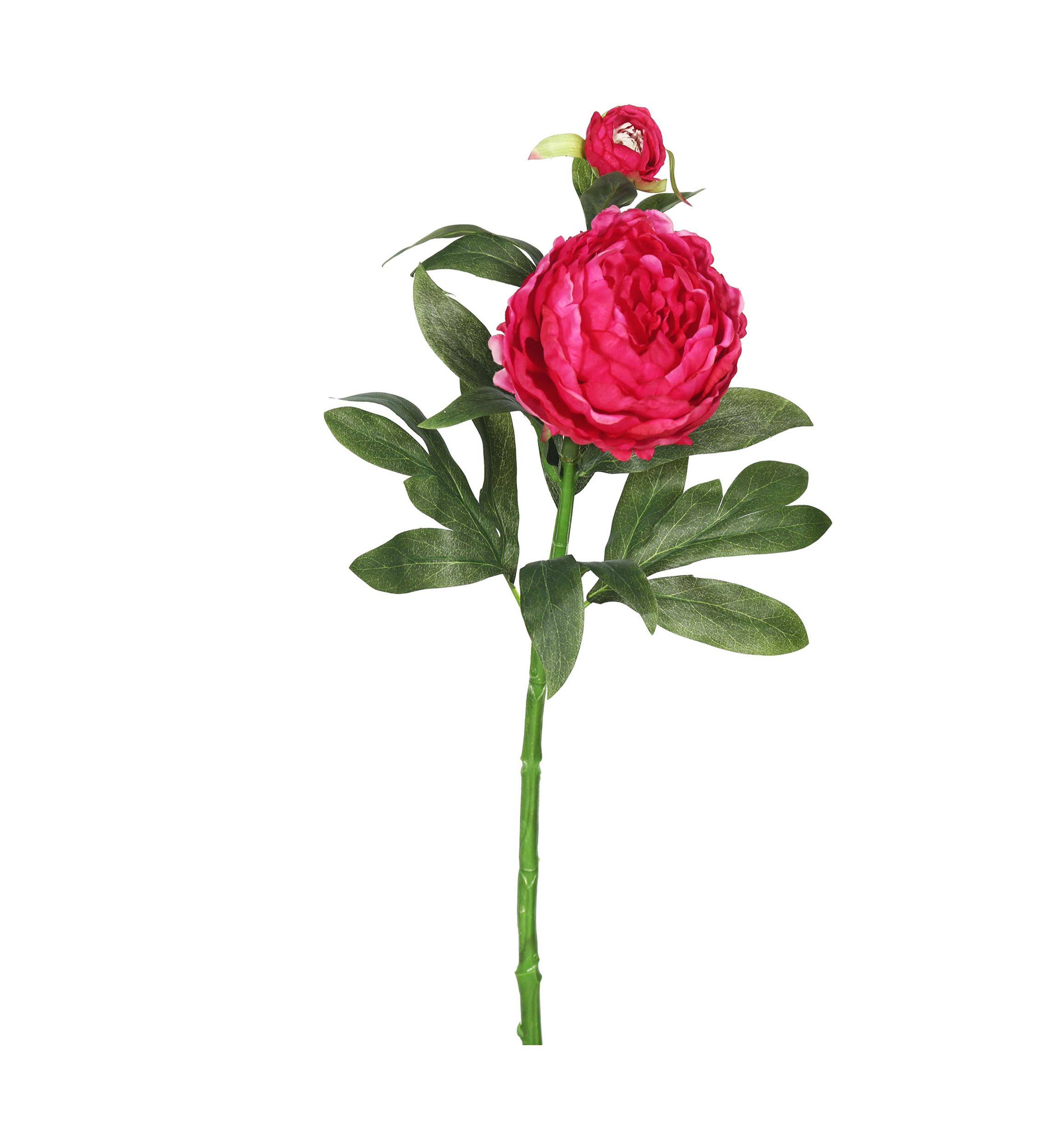 Hot Pink Peony Stem - Set of 3