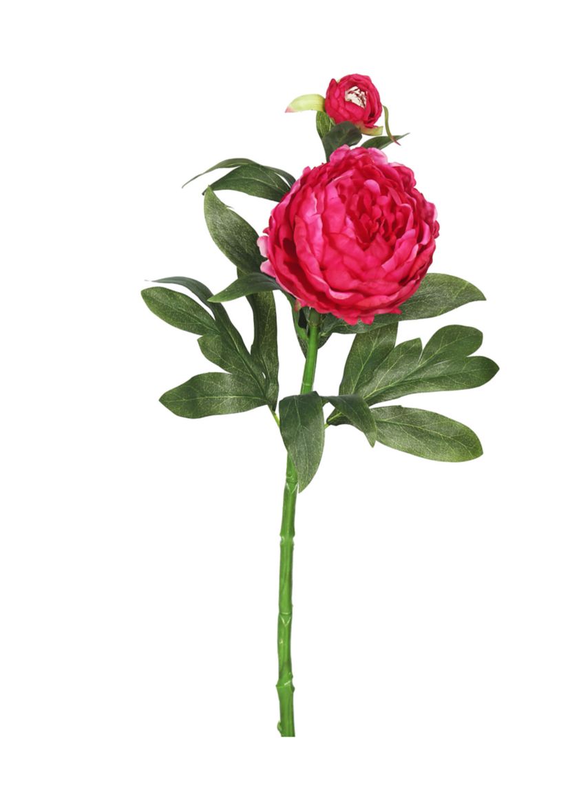 Hot Pink Peony Stem - Set of 3