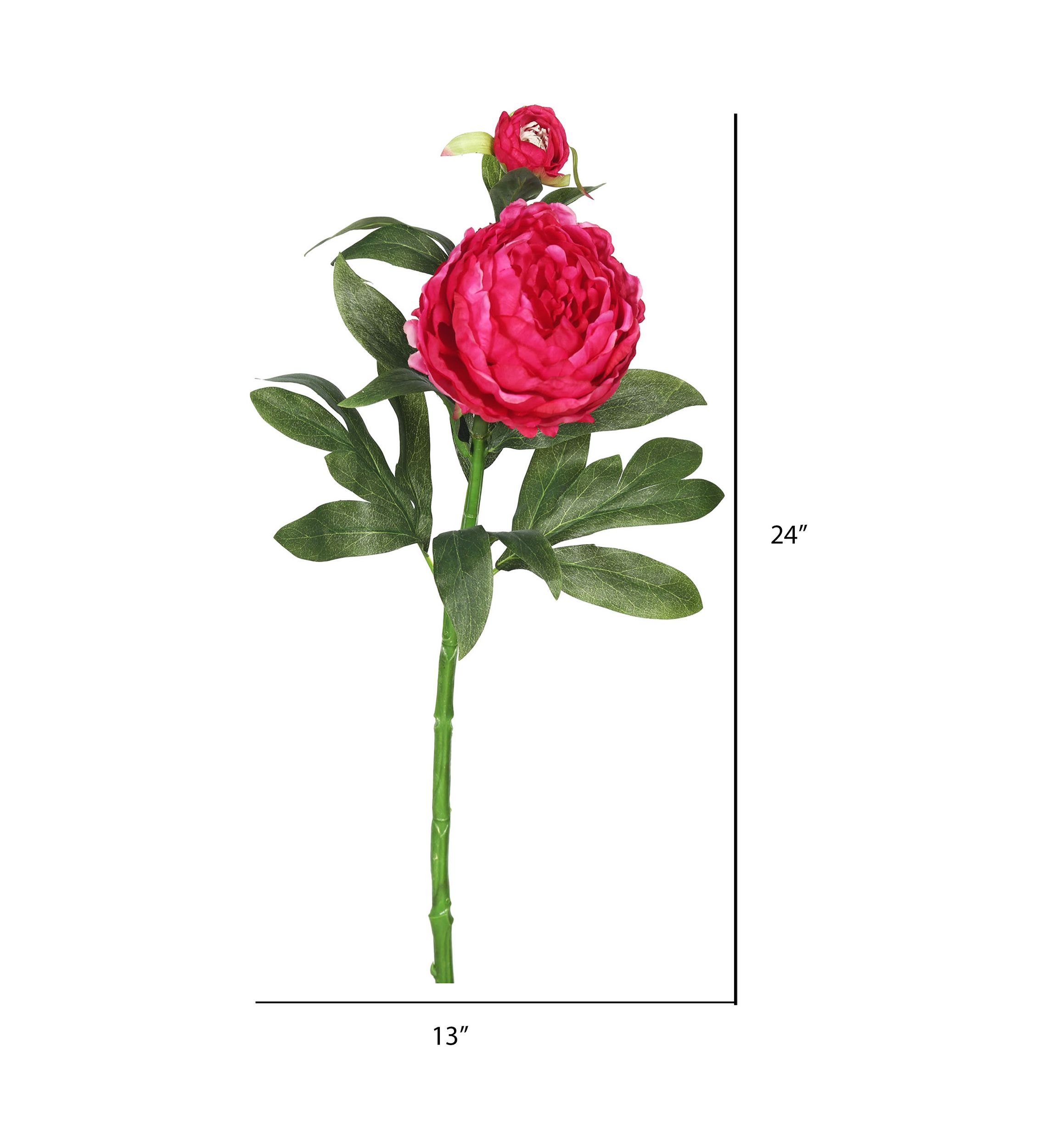 Hot Pink Peony Stem - Set of 3