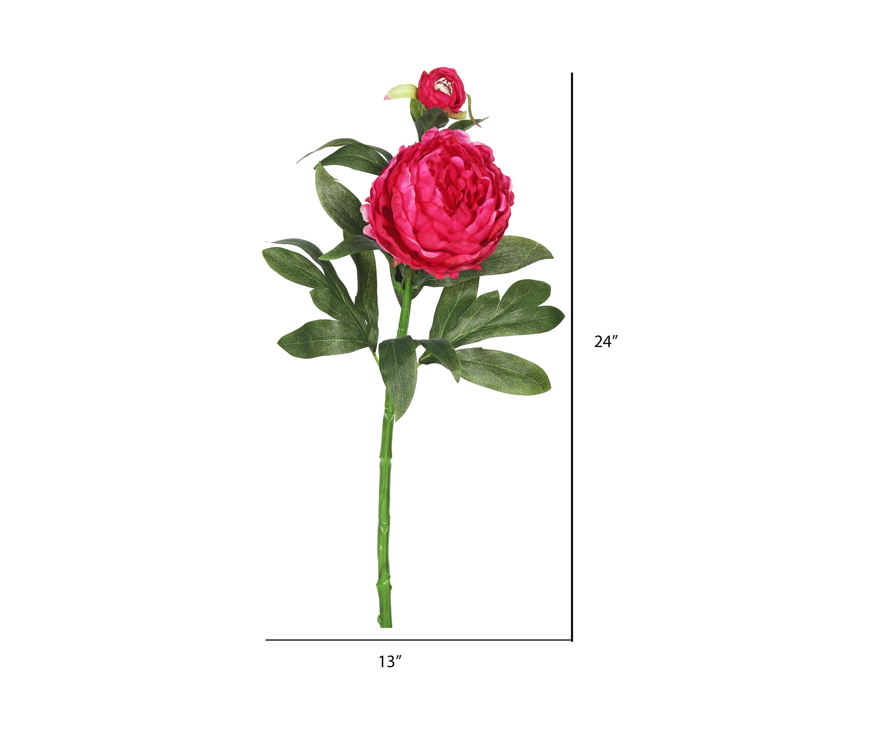 Hot Pink Peony Stem - Set of 3