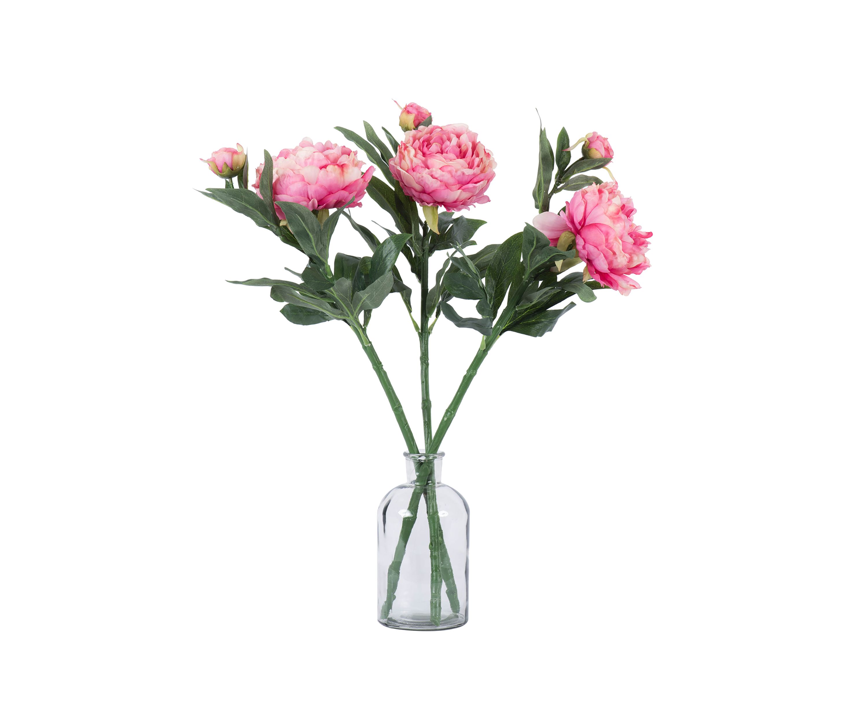 Pink Peony Stem - Set of 3