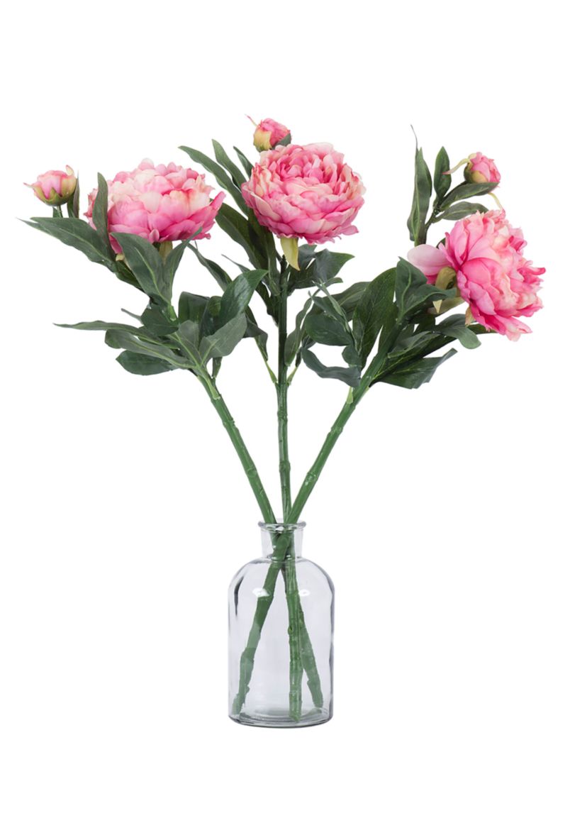 Pink Peony Stem - Set of 3