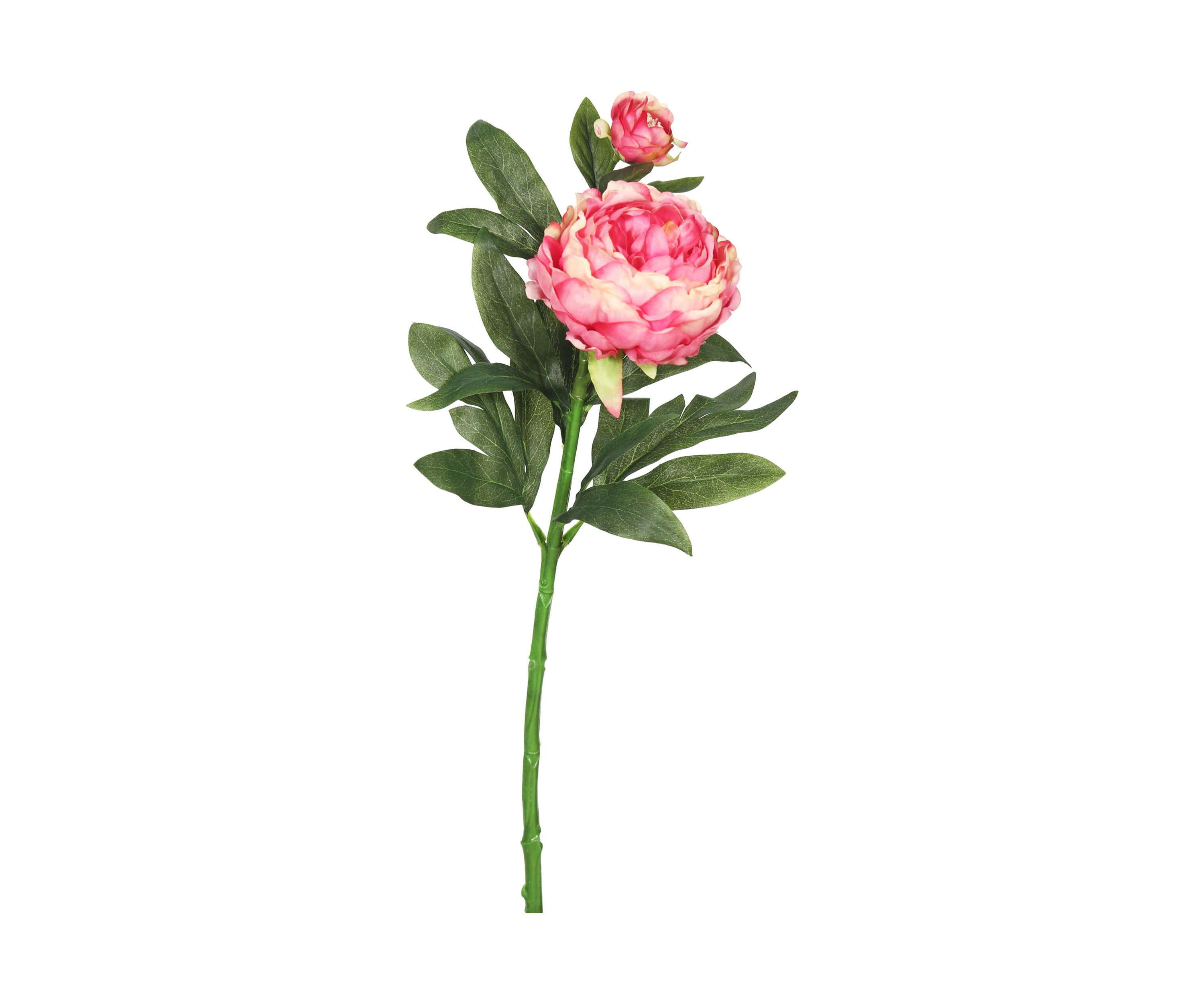 Pink Peony Stem - Set of 3