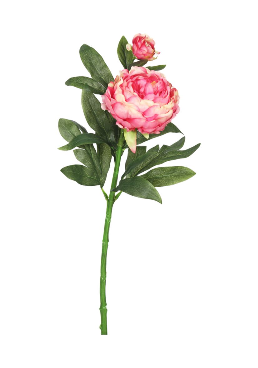 Pink Peony Stem - Set of 3