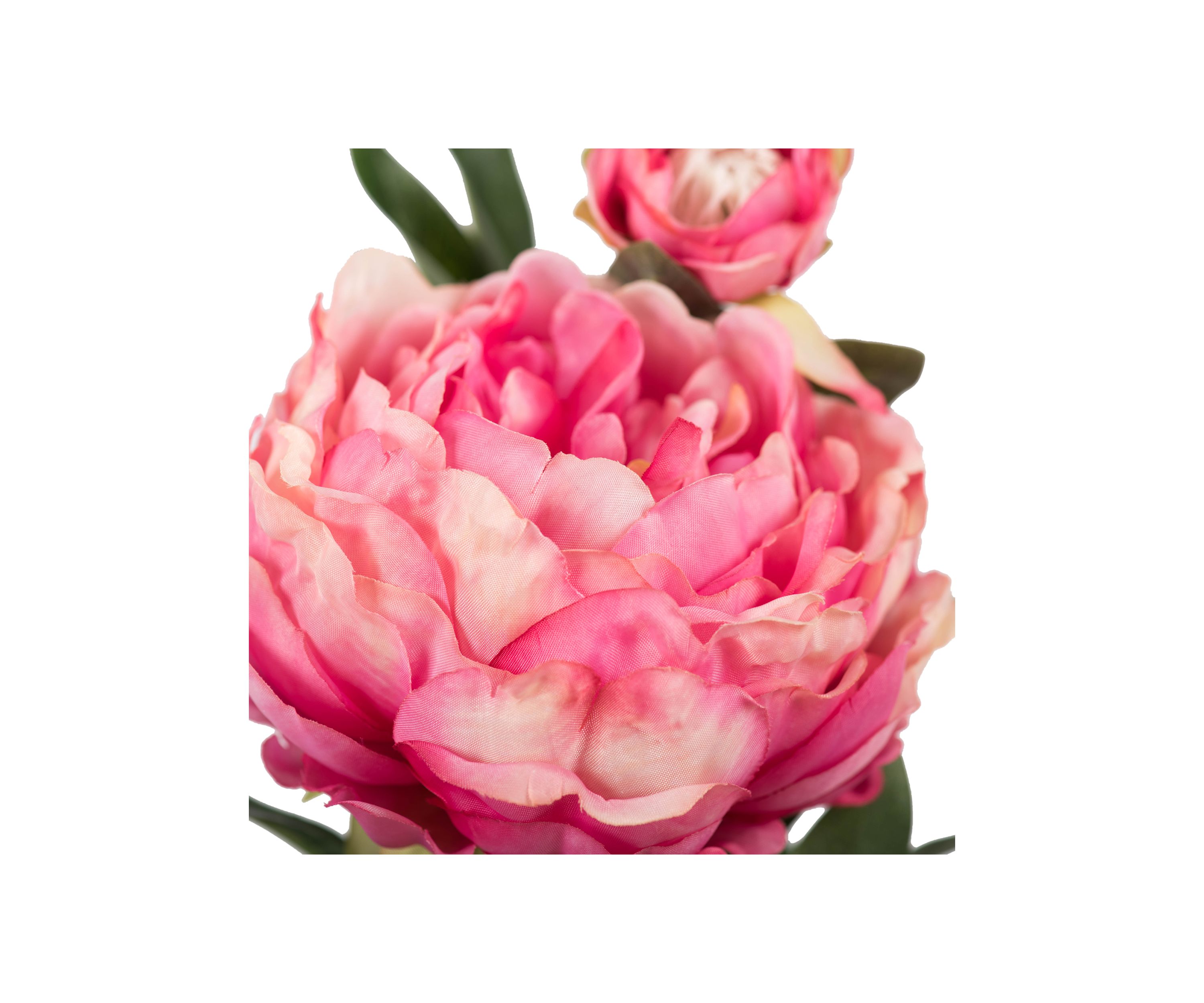 Pink Peony Stem - Set of 3