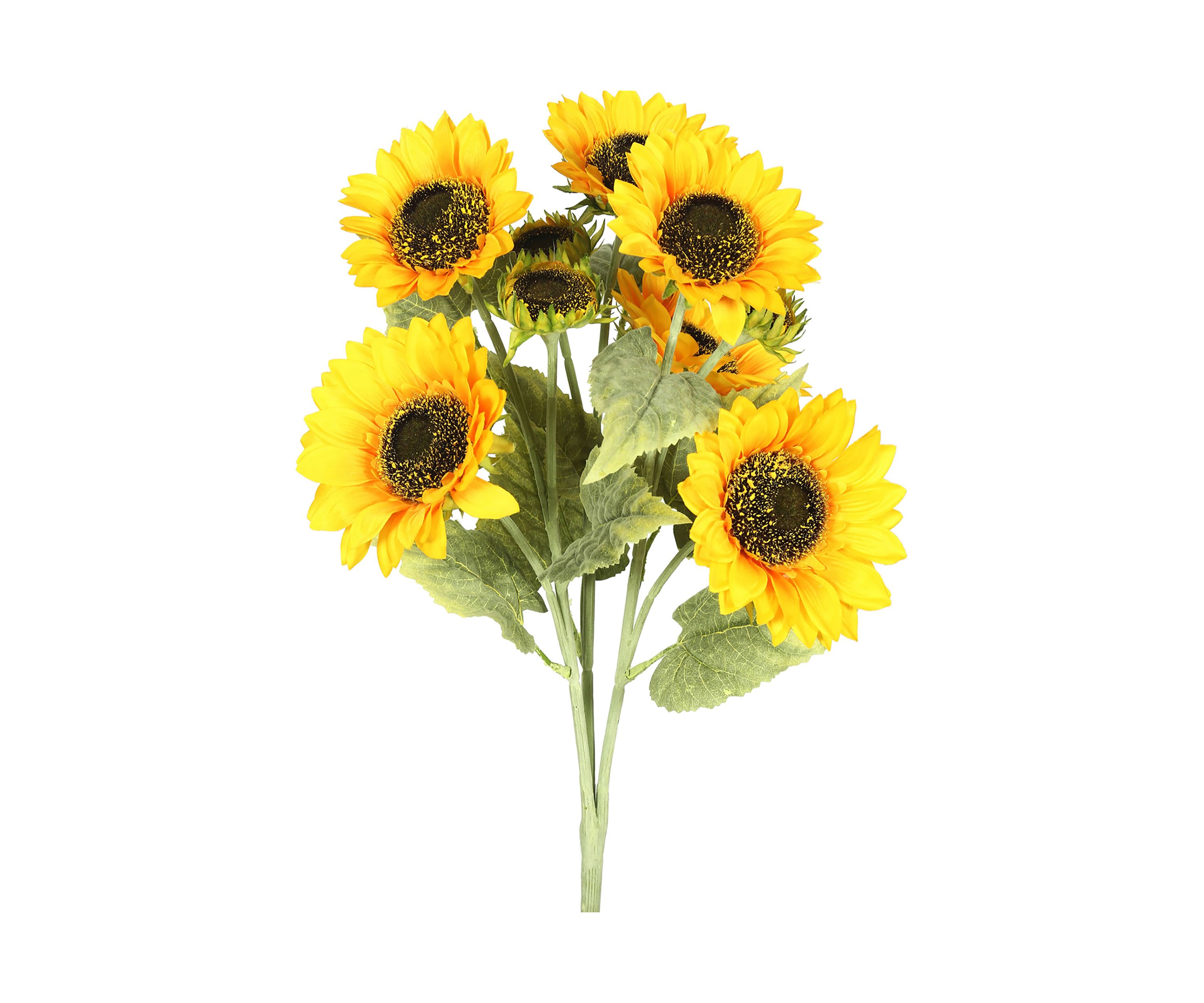 Yellow Sunflower Bush