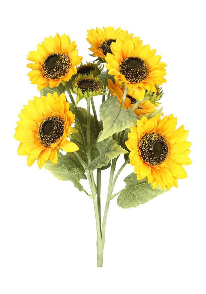 Yellow Sunflower Bush