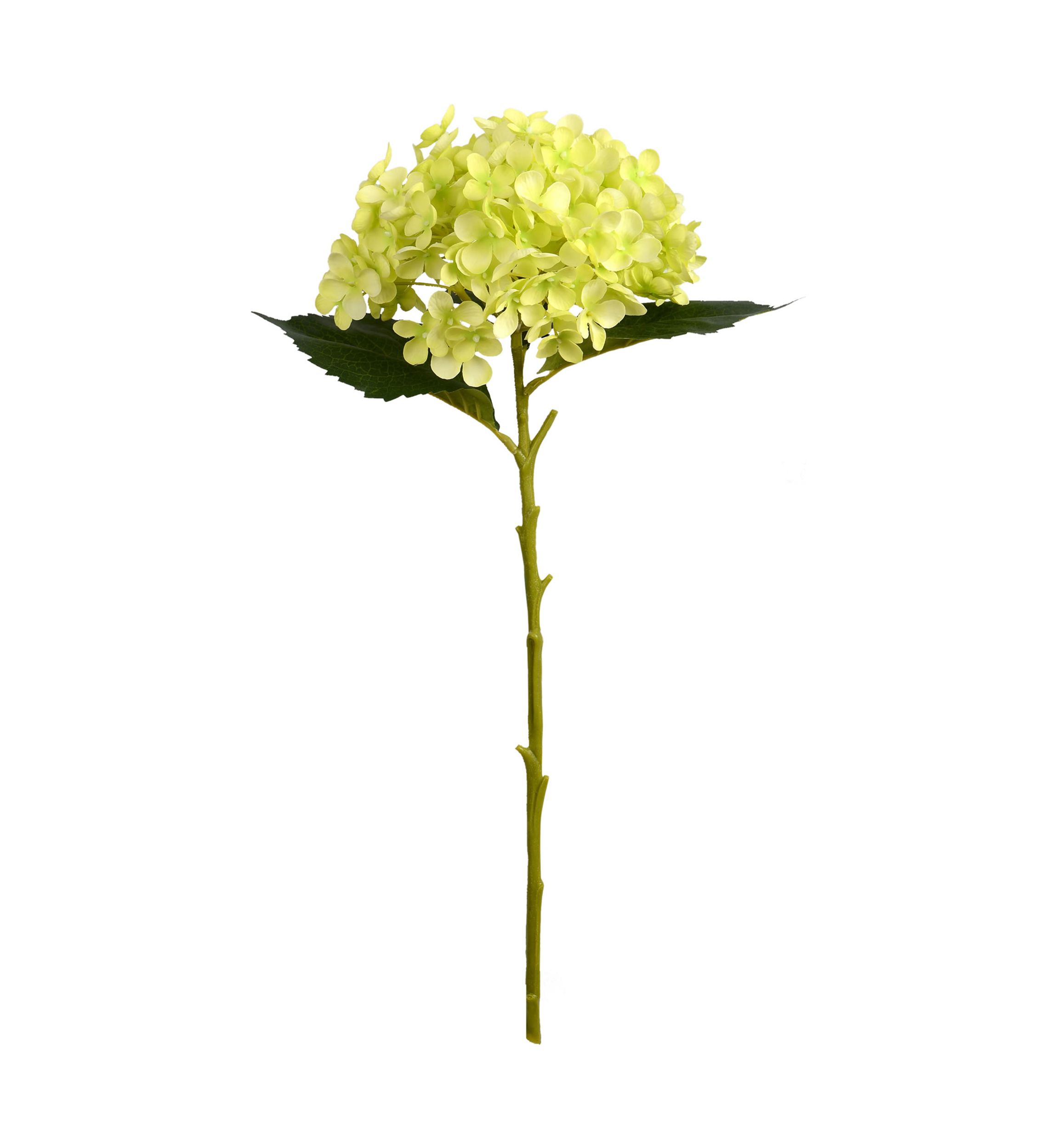 Mini Green Hydrangea Spray