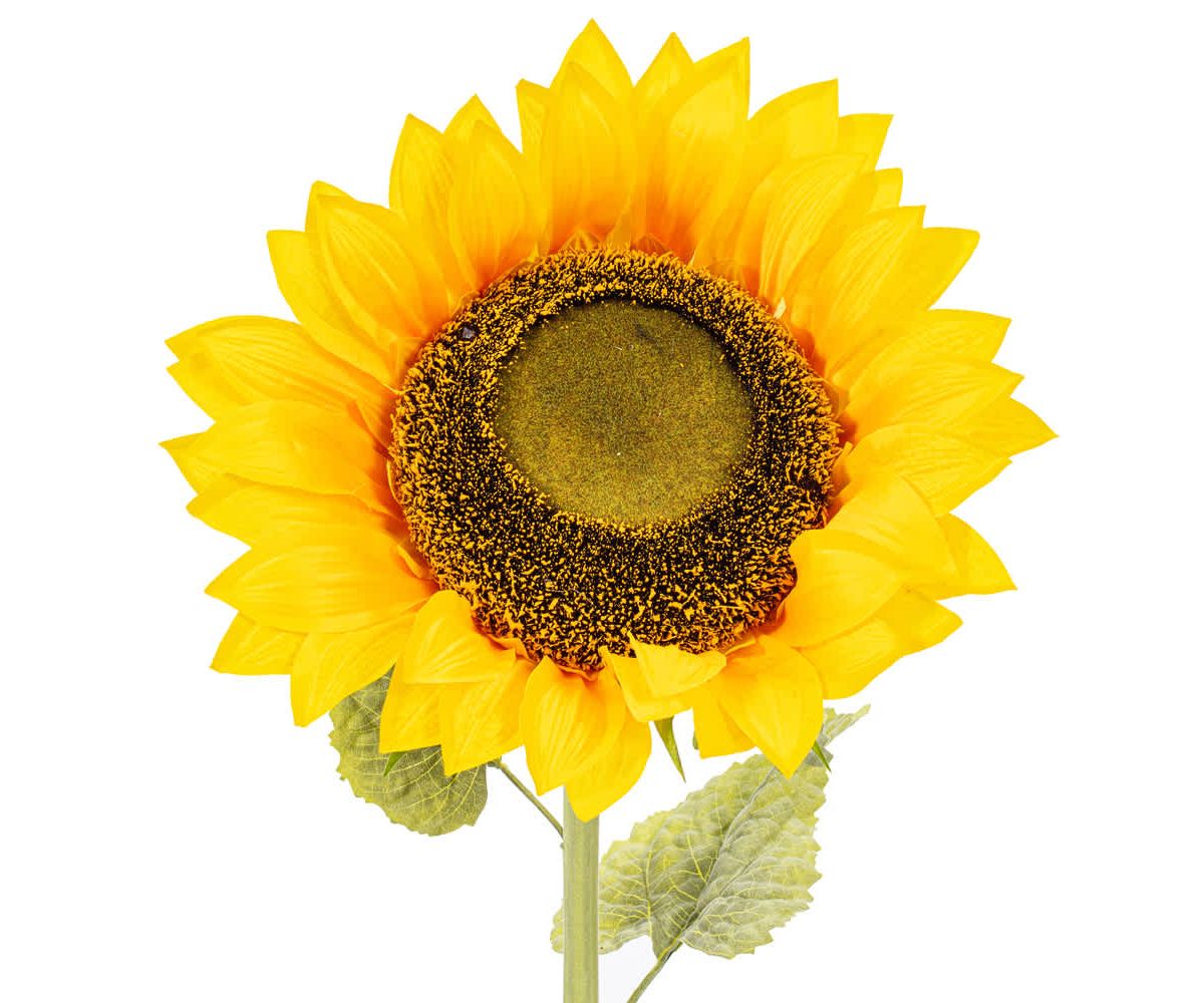 Vickerman 56" Artificial Yellow Sunflower Stem