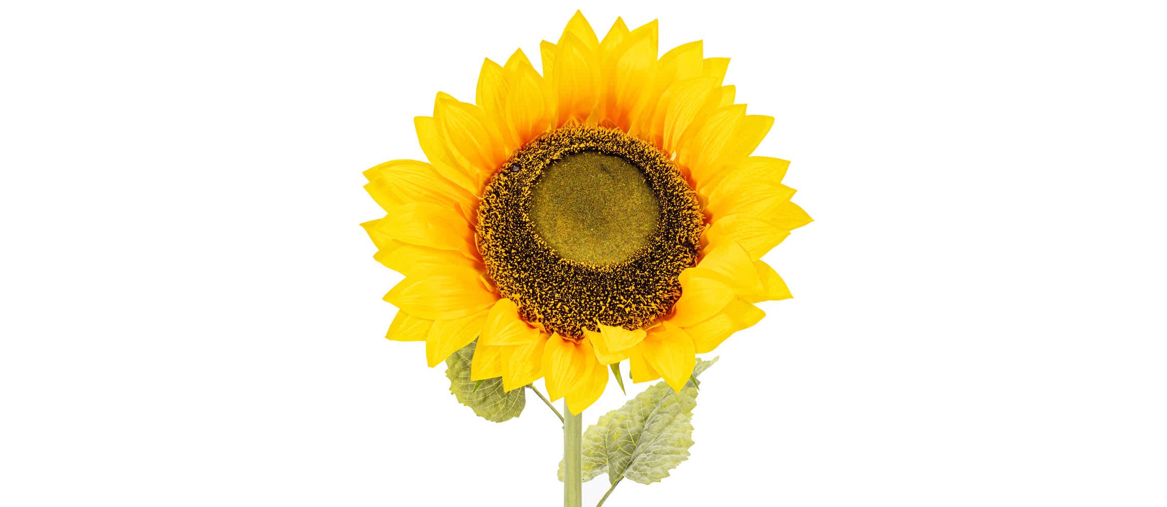 Vickerman 56" Artificial Yellow Sunflower Stem