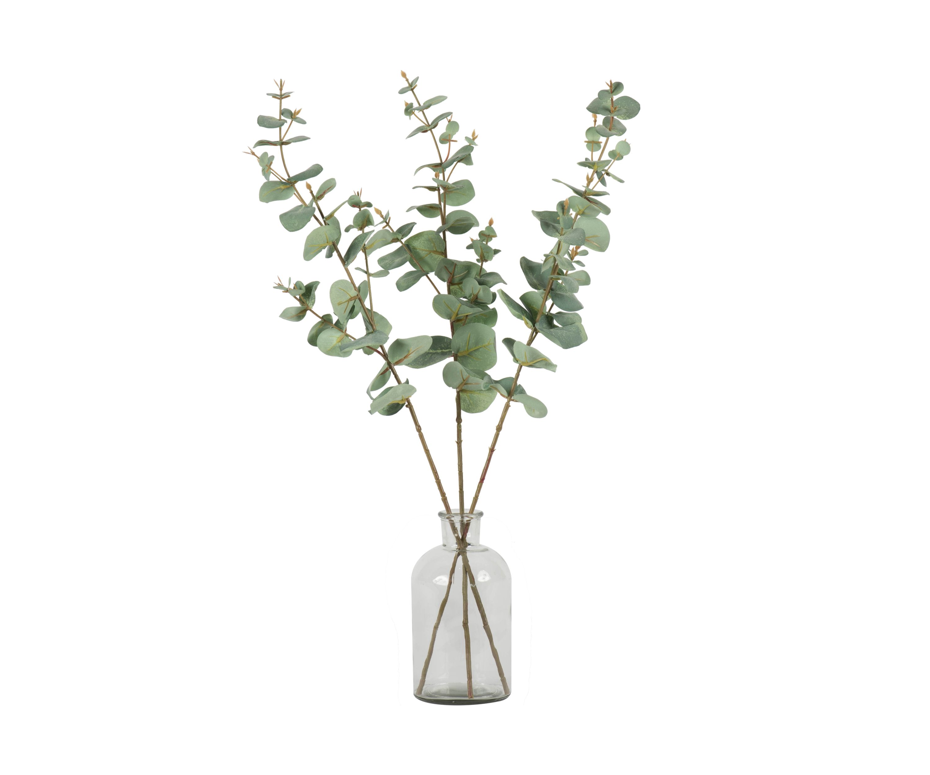 Green Eucalyptus Spray