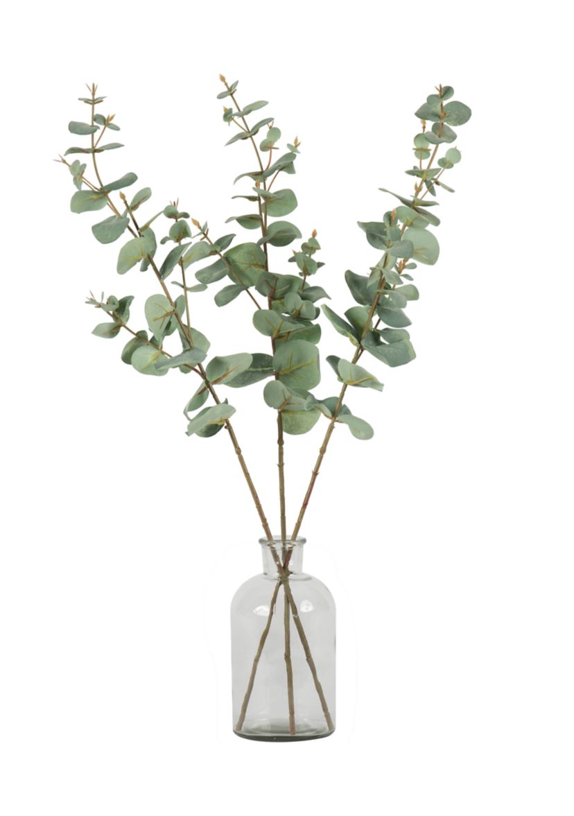 Green Eucalyptus Spray