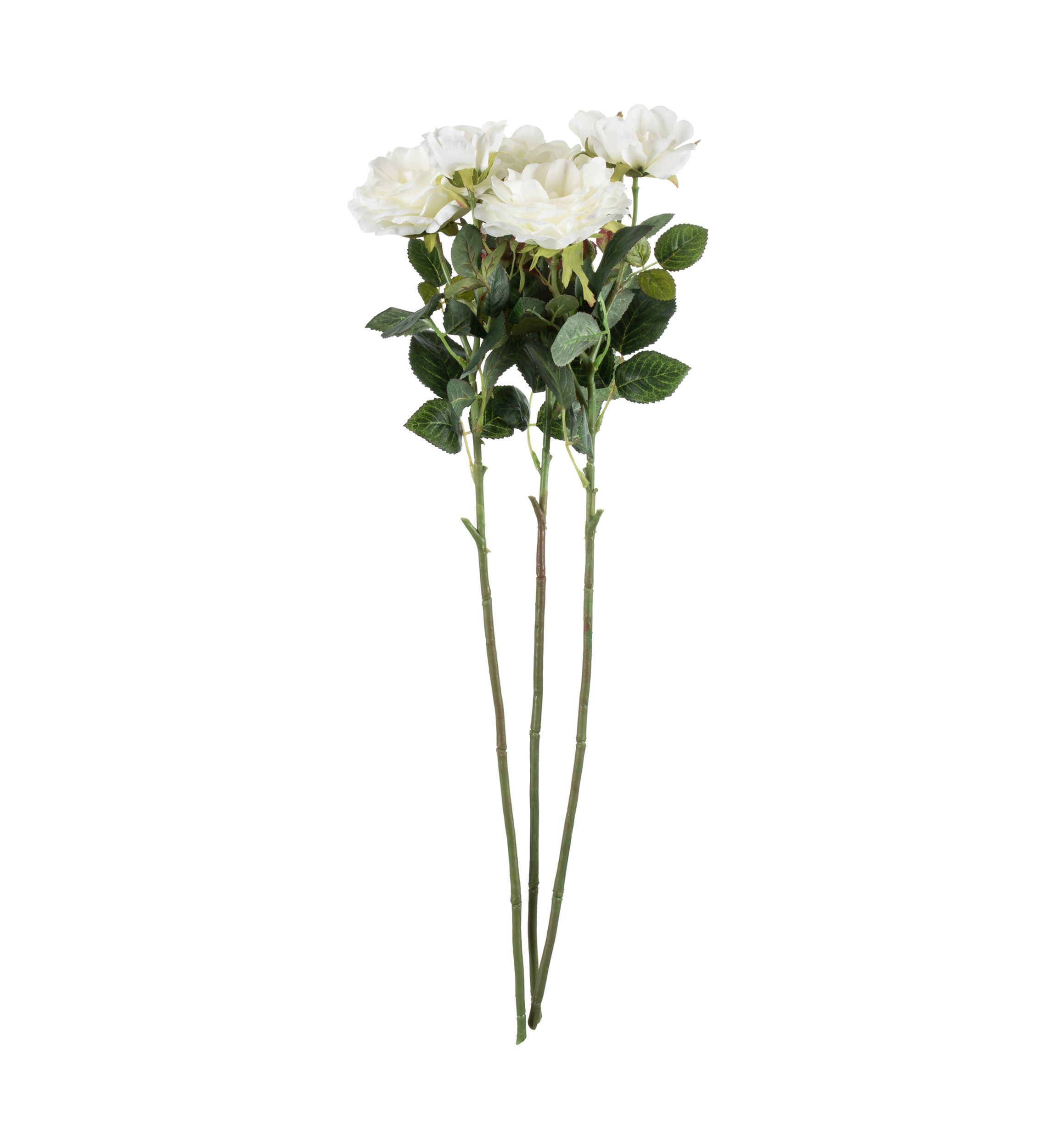 White Rose Stem - Set of 3