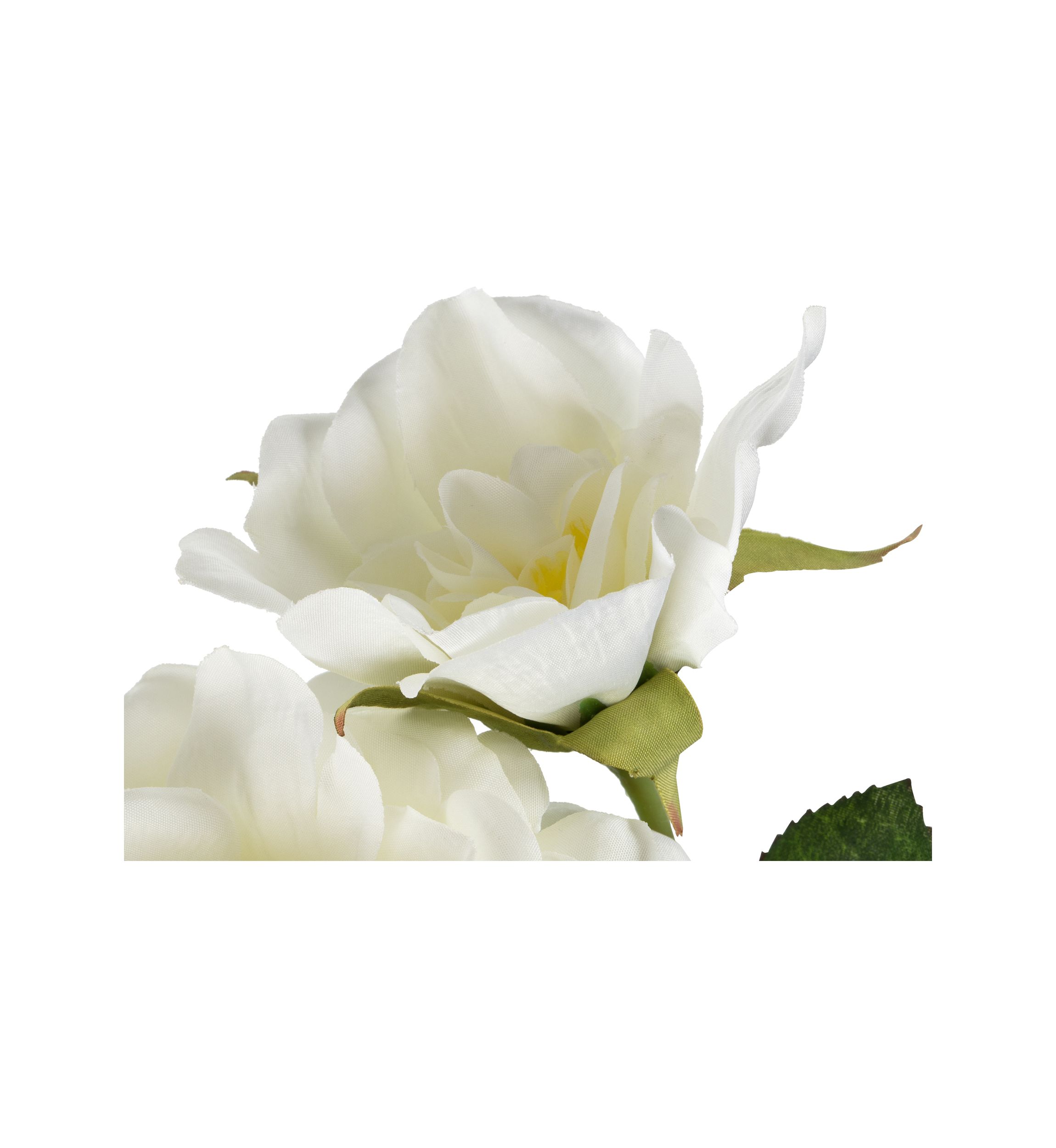 White Rose Stem - Set of 3