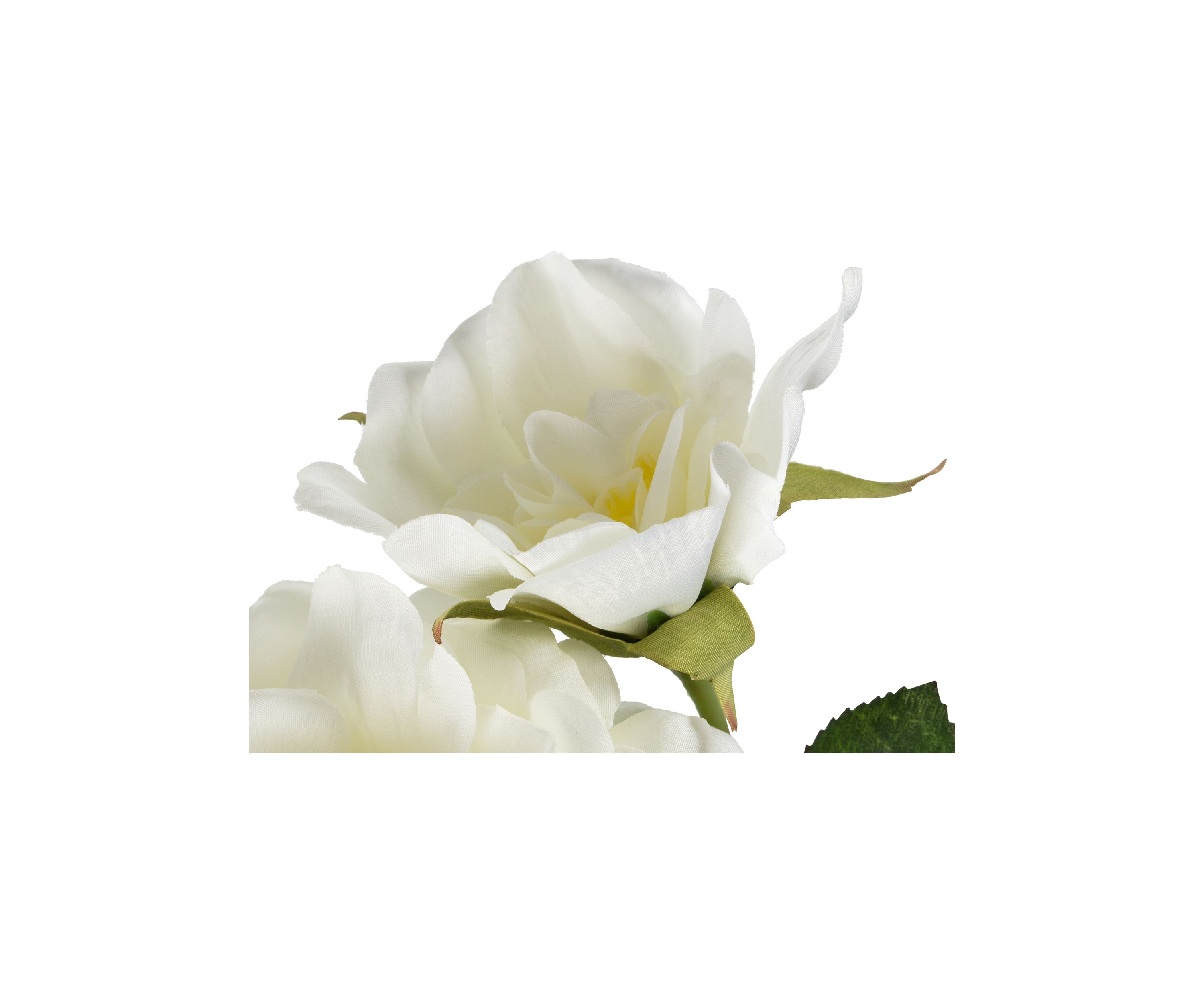 White Rose Stem - Set of 3