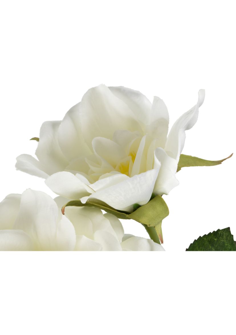 White Rose Stem - Set of 3