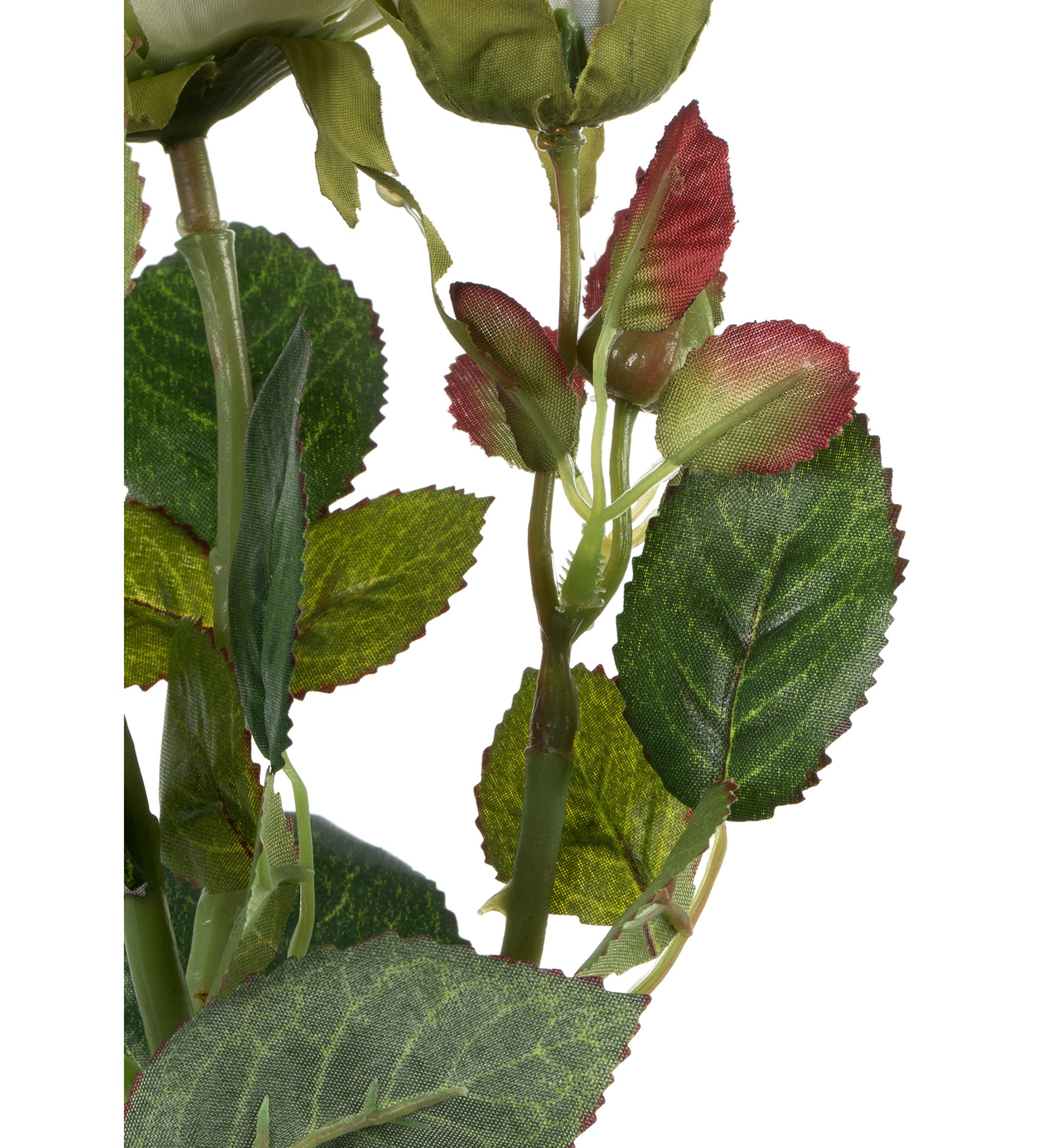 White Rose Stem - Set of 3