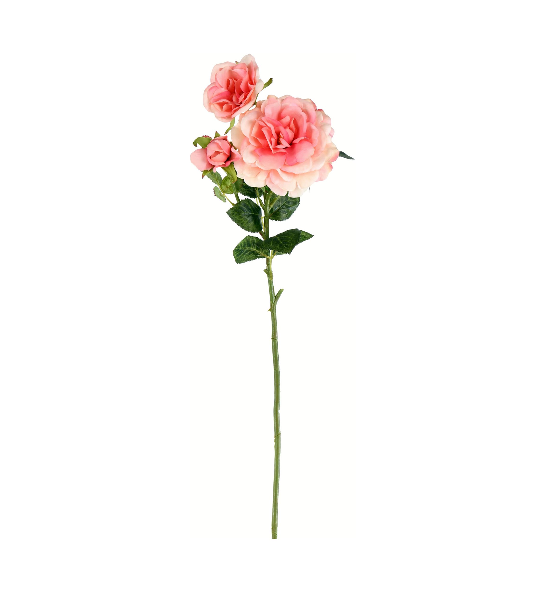 Light Pink Rose Stem - Set of 3