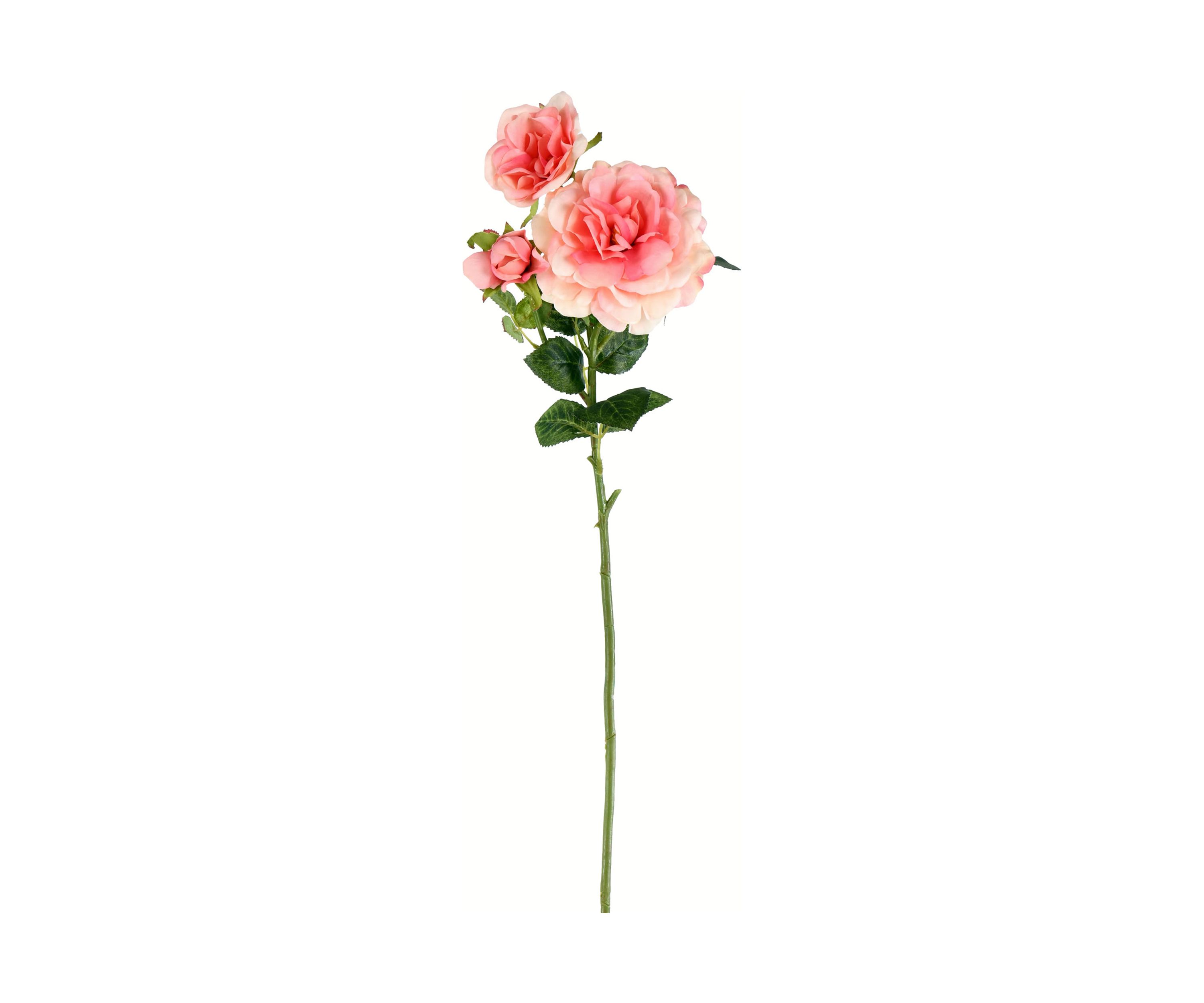 Light Pink Rose Stem - Set of 3