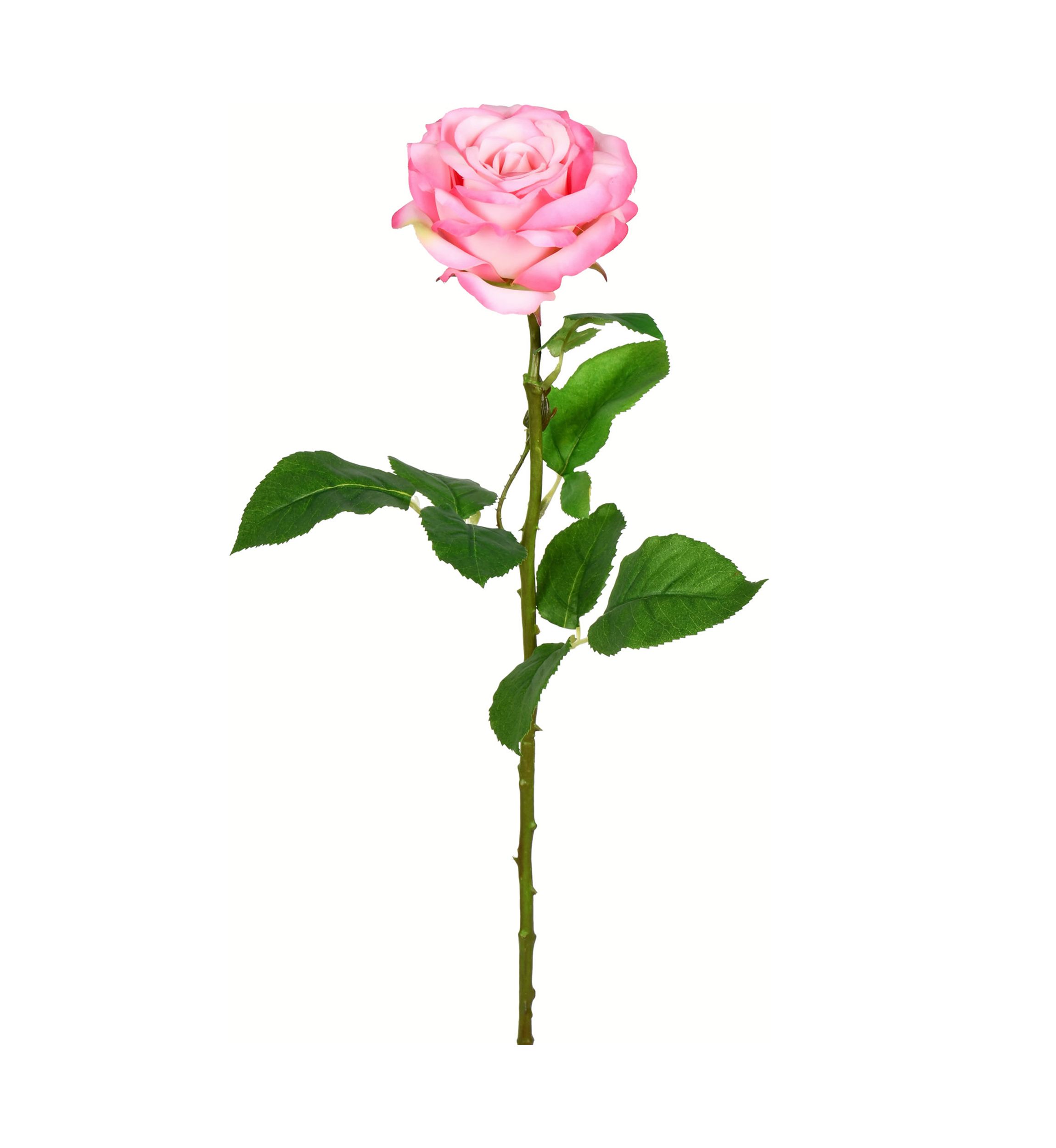 Pale Pink Rose Stem - Set of 6