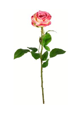 Vickerman Light Pink Rose Stem - Set of 6