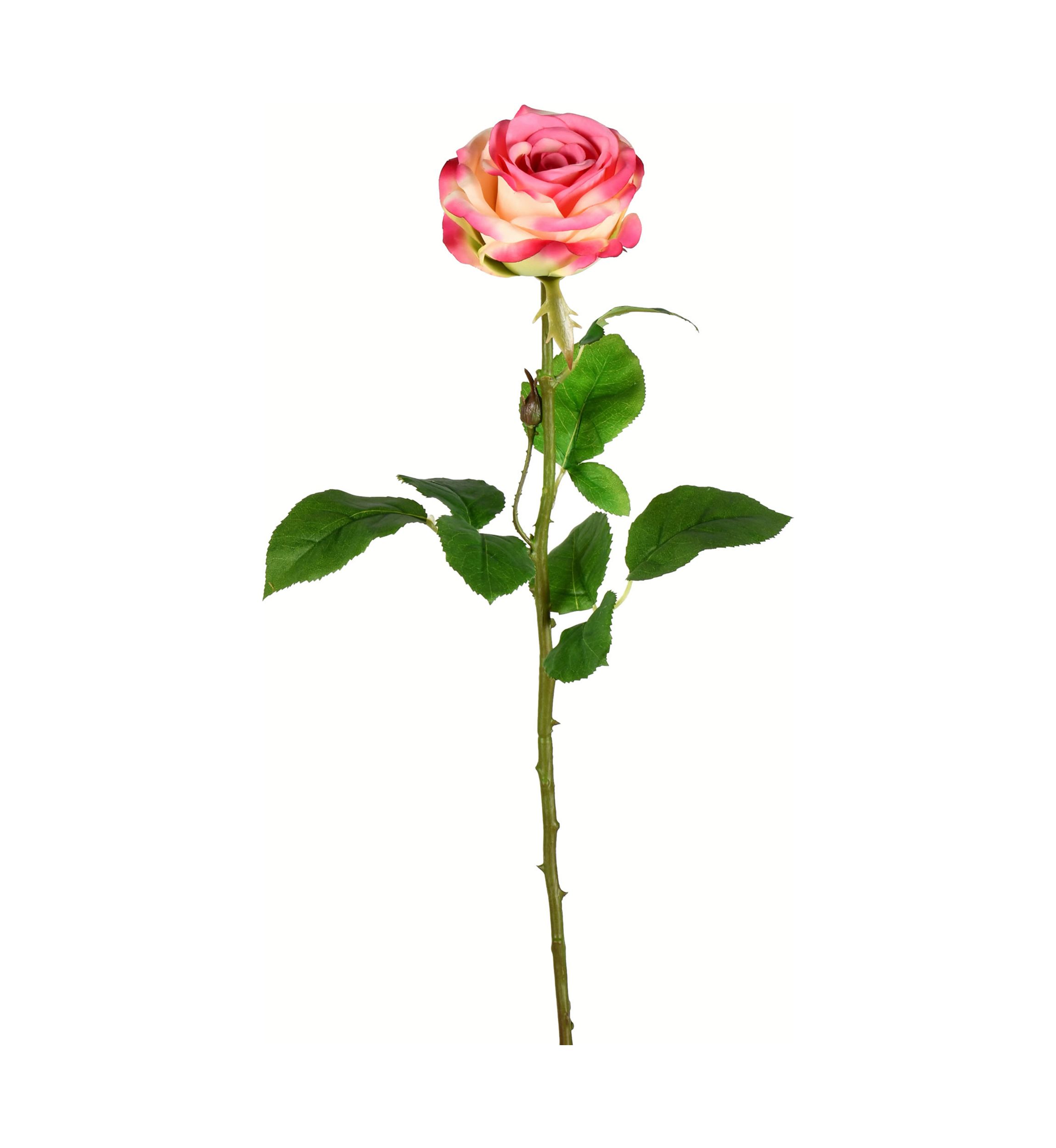 Light Pink Rose Stem - Set of 6