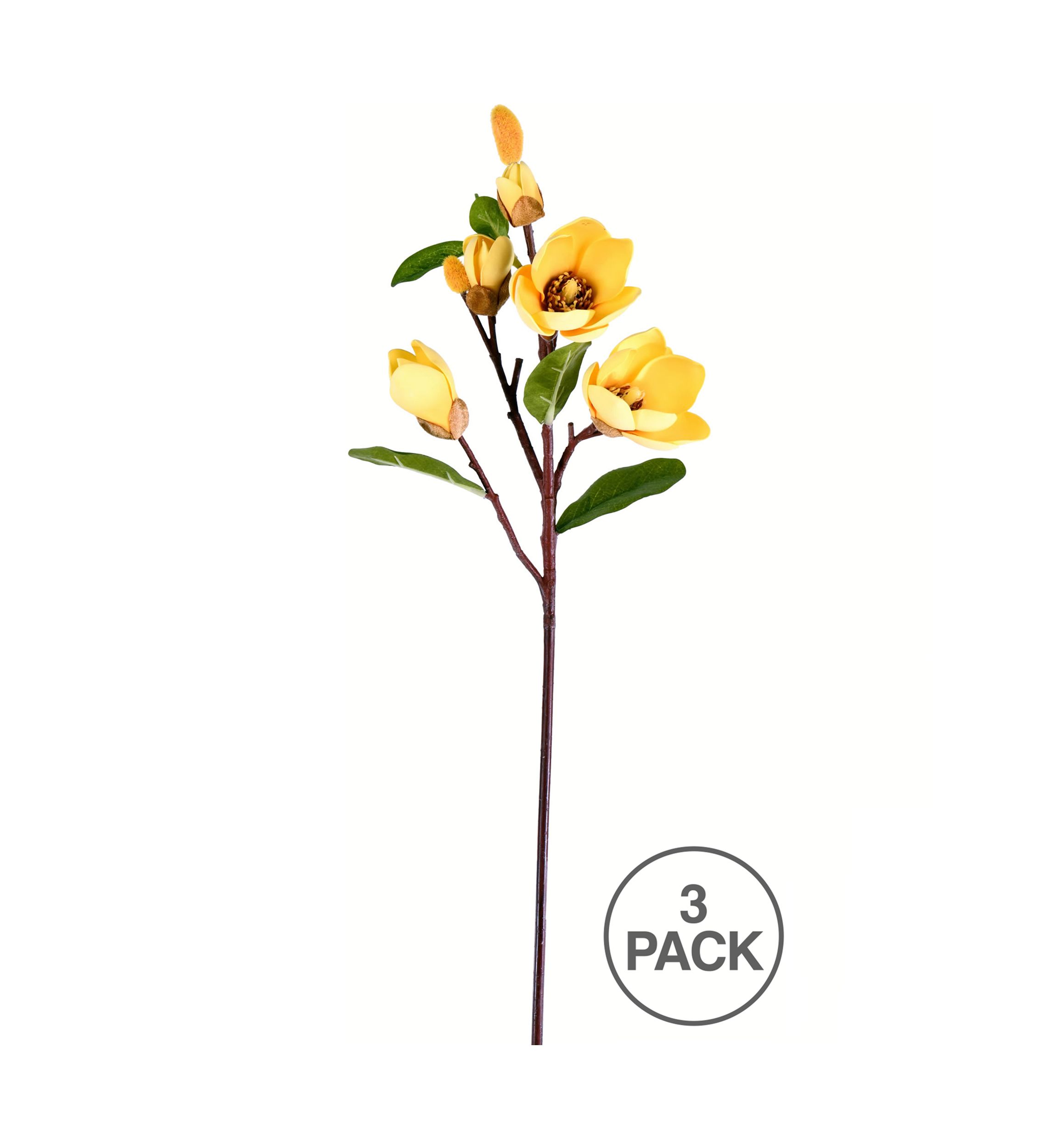 Yellow Magnolia Stem - Set of 3