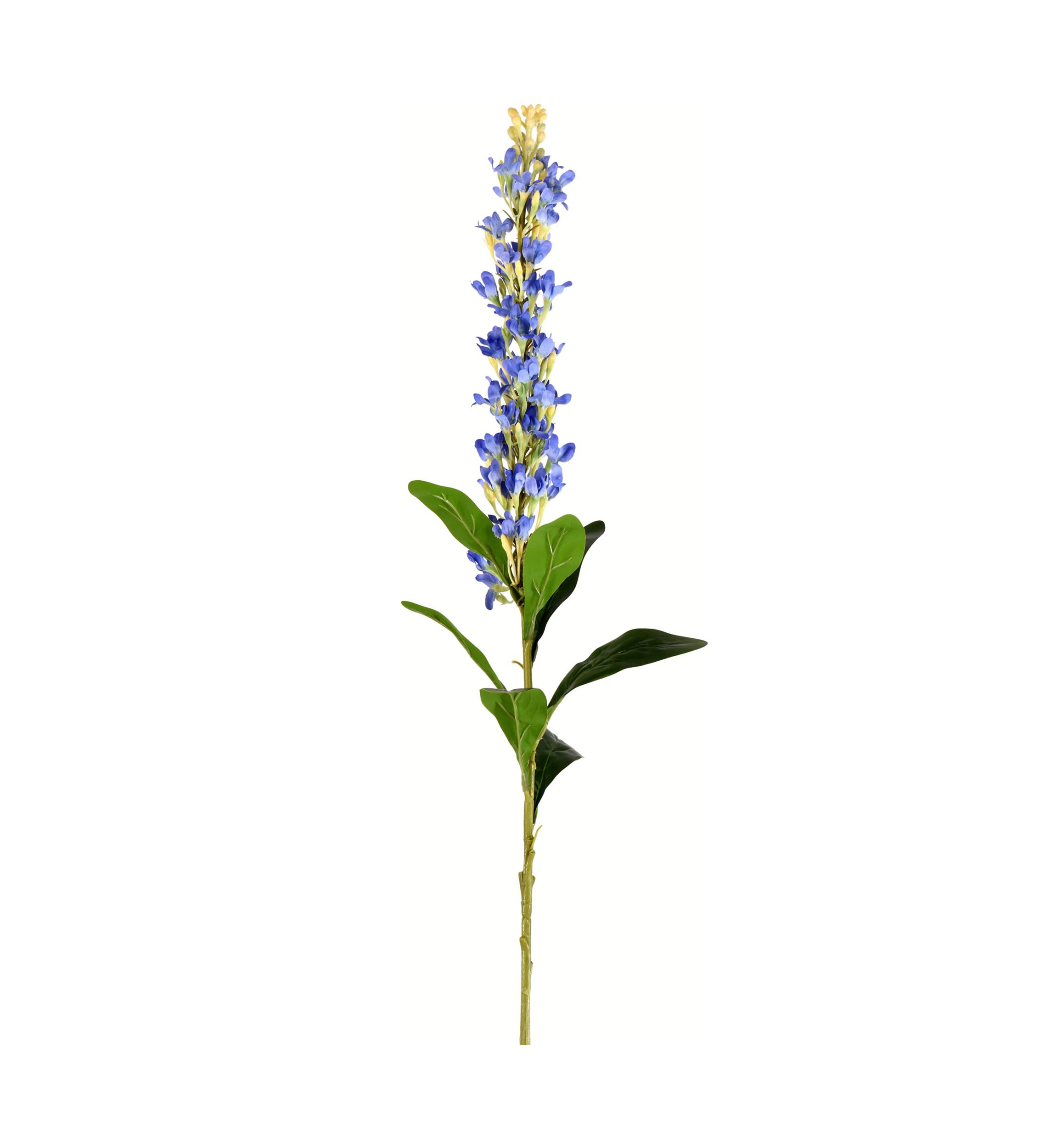 Blue Hyacinth Stem Set