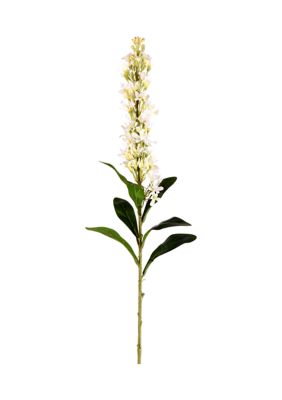 White Hyacinth Stem