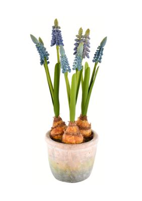 Vickerman Blue Hyacinths