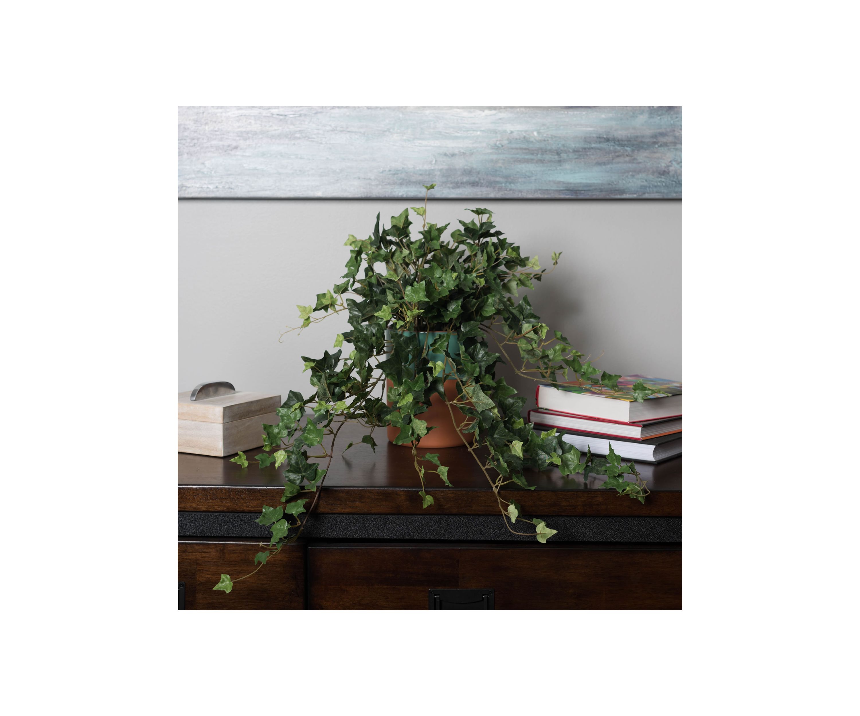 Green Mini Ivy Hanging Bush