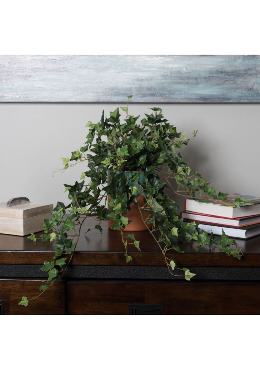Green Mini Ivy Hanging Bush