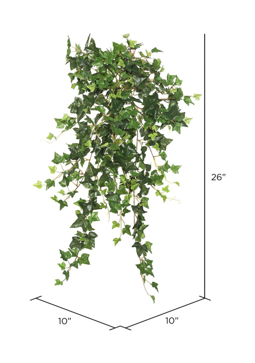 Green Mini Ivy Hanging Bush