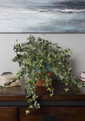 Vickerman Variegated Mini Ivy Hanging Bush, Green