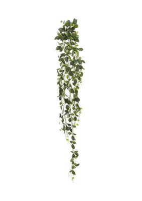 Vickerman Fittonia Hanging Bush, Green