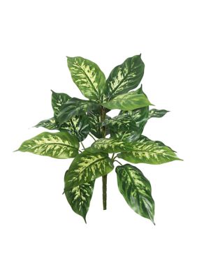 Vickerman Artificial Dieffenbachia Plant, Pack of 2
