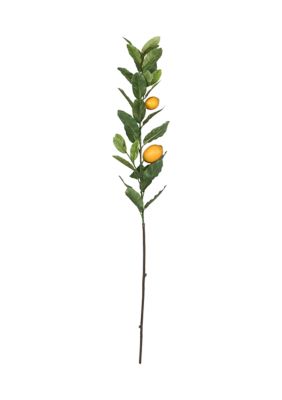 Lemon Branch with Leaves